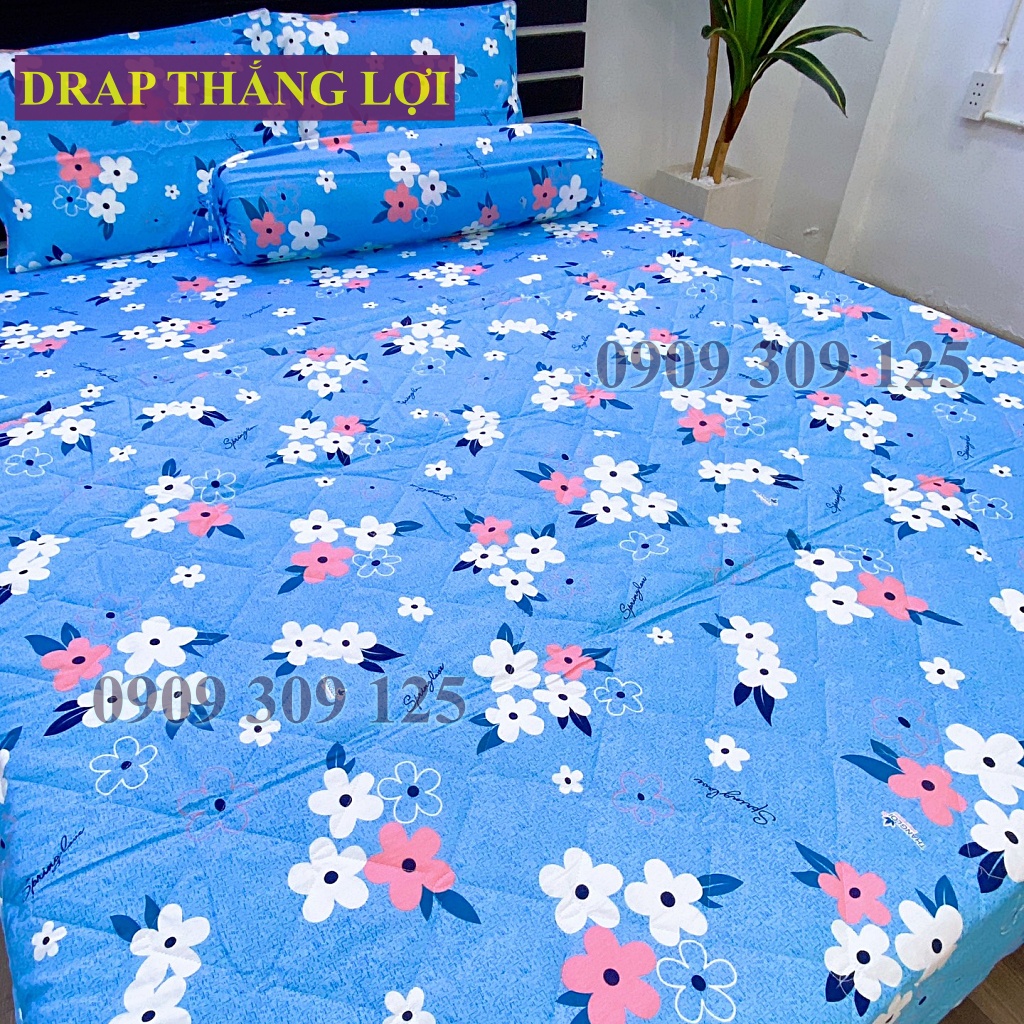 (ảnh thật) Drap cotton Thắng Lợi, ga giường cao cấp thoáng mát mẫu HOA MAI XANH