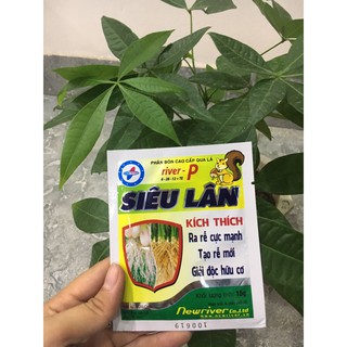 SIÊU LÂN - Kích ra rễ mới ( combo 30 gói )