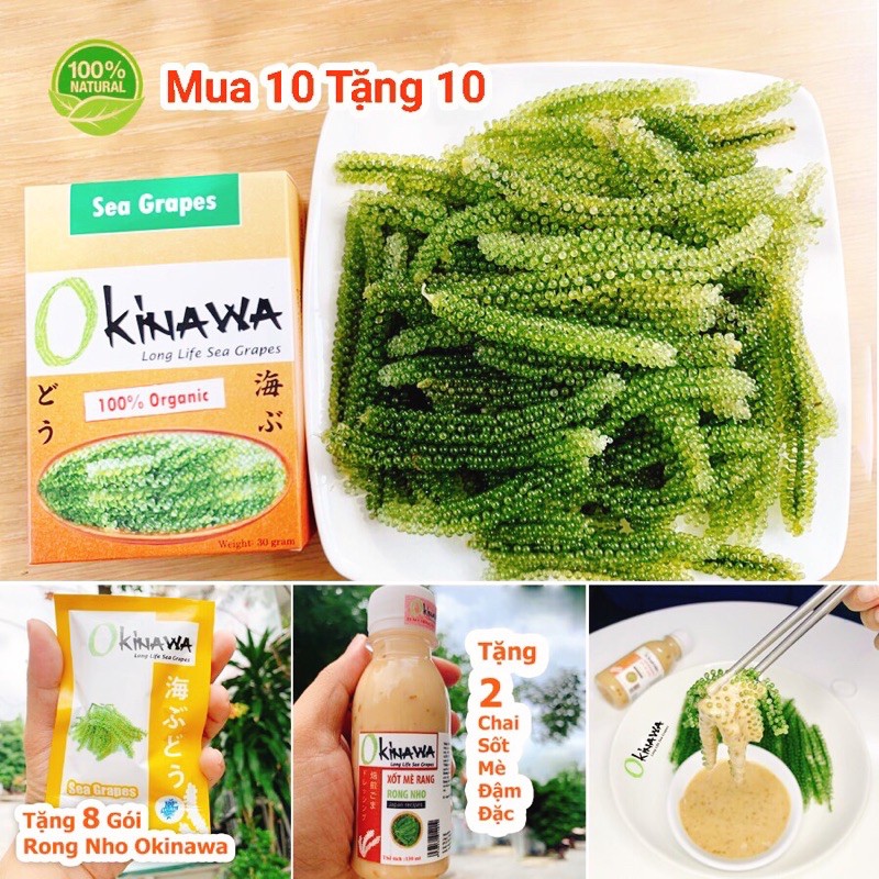 Rong Nho Okinawa Nhật Bản Ko Tanh + CTKM Hấp Dẫn Xem Dưới Nội Dung