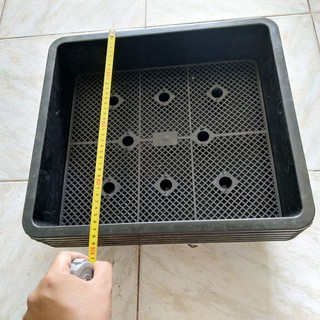Sale Khay nhựa trồng rau sạch rau mầm, khay nhựa trồng rau thông minh 42 x 38 x 11cm chất lượng.