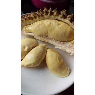 5kg Sầu riêng rụng (sầu ta rụng)