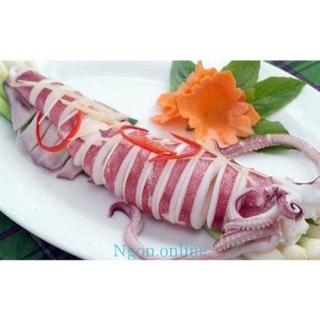 Mực thước bạch long vỹ - đặc sản biển đảo bạch long vỹ