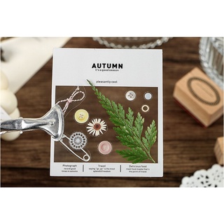 Sticker PET khung phim ảnh