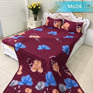 Set 4 món ko mền chỉ #99k