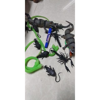 Rắn ,CHUỘT, NHỆN  dẻo