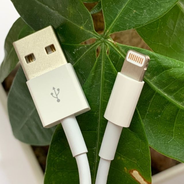 Dây xạc iphone ipad