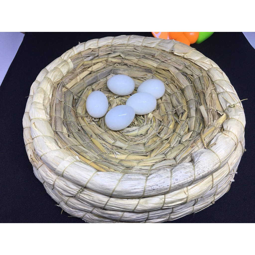 Ổ ĐẺ CHO CHIM BỒ CÂU