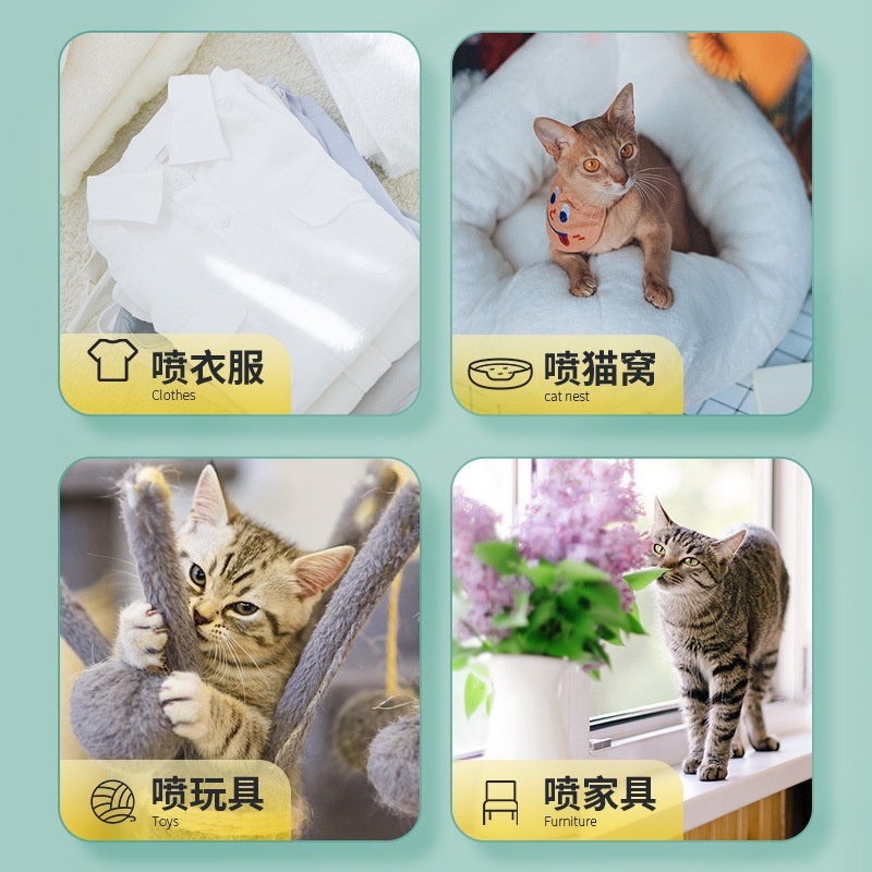 Xịt catnip cho mèo tinh chất cỏ bạc hà mèo tạo cảm giác hưng phấn đồ chơi cho mèo - 50ml - Laila Petshop