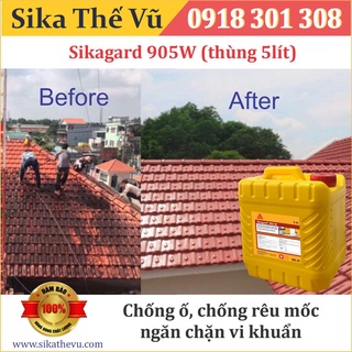 Sika - Màng lỏng chống thấm trong suốt, chống ố, chống rêu mốc, thẩm thấu nhanh Sikagard 905W SIKA THẾ VŨ