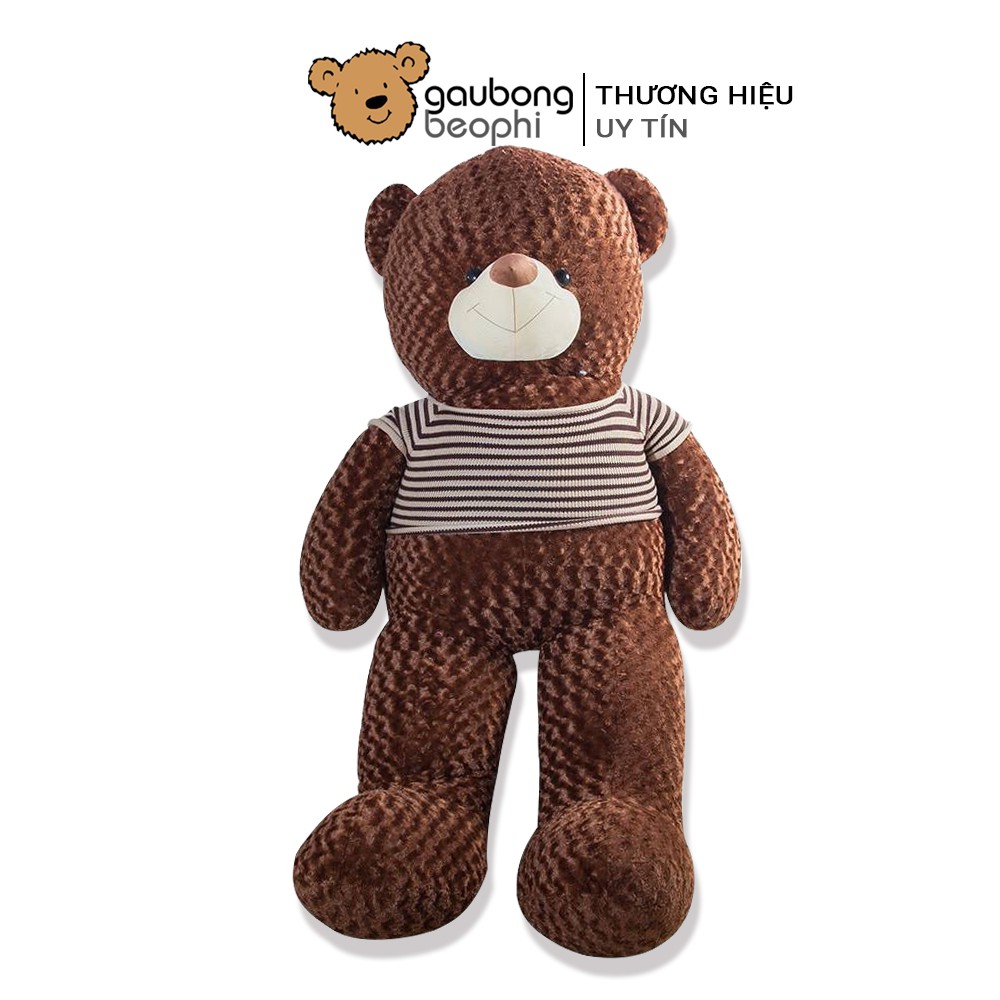 Gấu teddy áo len khổ vải 1m8 shop gấu bông béo phì