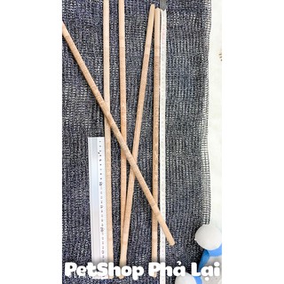 Cầu Chim Chích Chòe