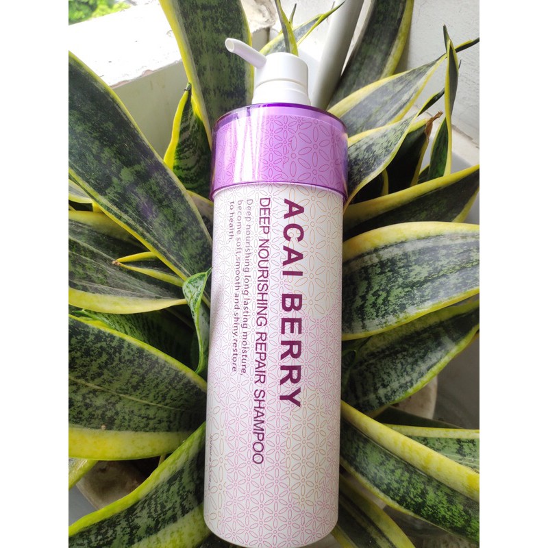 Dầu gội ACAI BERRY