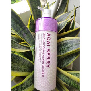 Dầu gội acai berry
