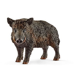 Đồ Chơi Mô Hình SCHLEICH Lợn Rừng 14783