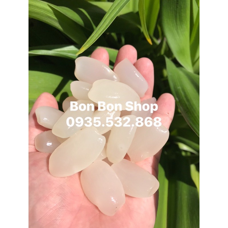 1kg đác tươi sạch nha trang loại lớn ngon | BigBuy360 - bigbuy360.vn
