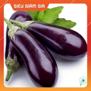 0,5g Hạt Giống Cà Tím Dài (Solanum melongena)  TRỢ GIÁ HCT