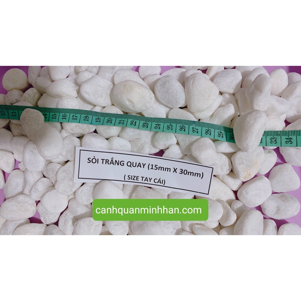 Sỏi trắng tiểu cảnh trang trí bể cá hồ cá trang trí chậu cây lót đường đi 1kg Minh Hân Garden