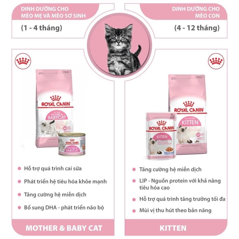 NEW DATE 11/24- BABYCAT Pate Cho Mèo Mẹ & Mèo Con Cai Sữa Tập Ăn ROYAL CANIN MOTHER & BABYCAT 195g