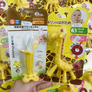 Gặm nướu hươu, chuối, hoa quả Edison nội địa Nhật