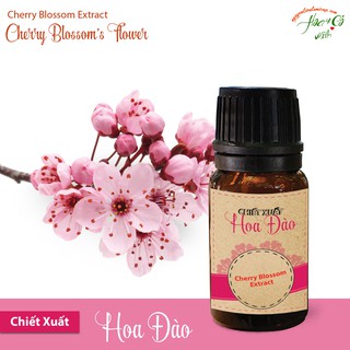 CHIẾT XUẤT HOA ANH ĐÀO ( CHERRY BLOSSOM EXTRACT )