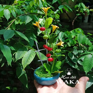 Hoa Đất Sét Mini - Giàn Cà Chua Mini 15cm