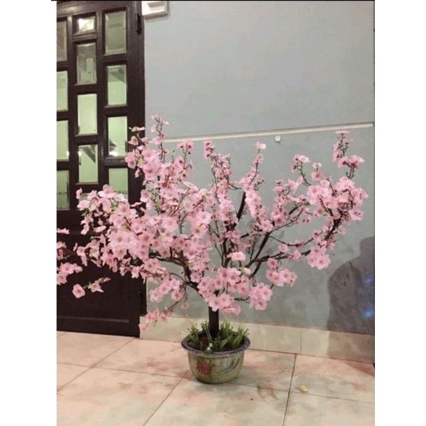 [Cành hoa anh đào làm cây trang trí studio nhà cửa