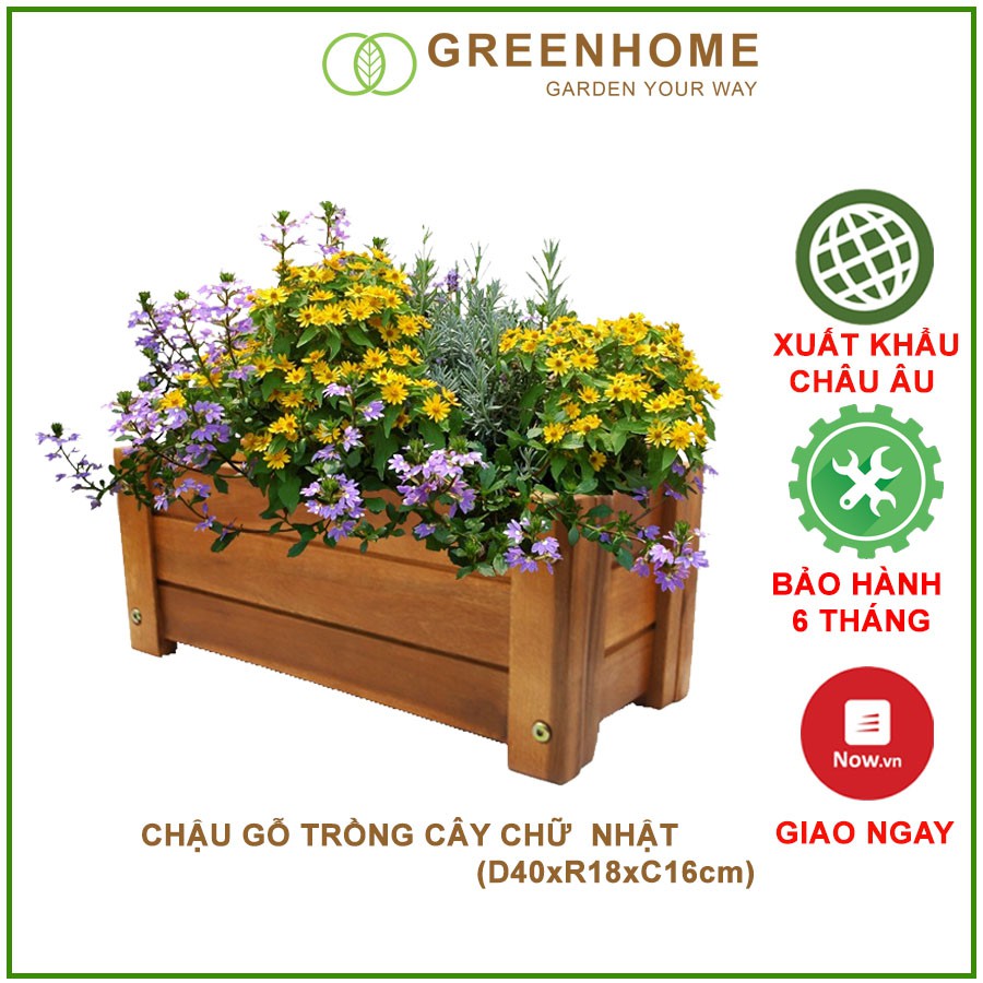 Chậu gỗ trồng cây, chữ nhật, D40xR16xC16cm, gỗ Tràm chịu nước, tặng 5 gói dưỡng hoa tươi lâu |Greenhome