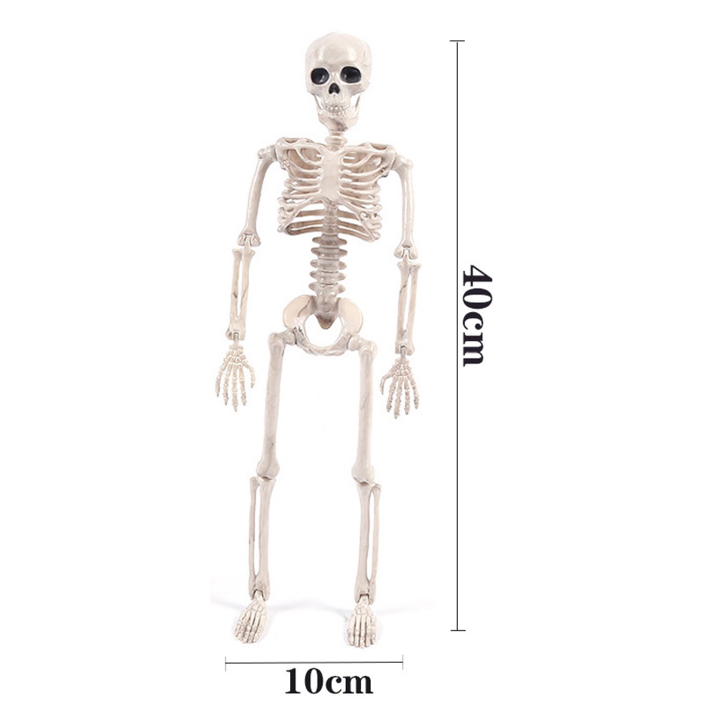 Ga-skeleton Mô Hình Bộ Xương Nhựa Có Thể Di Chuyển Trang Trí Cảnh Quan Halloween