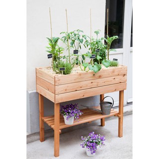 Kệ pallet trồng cây, kệ gỗ trồng cây TRANHOME