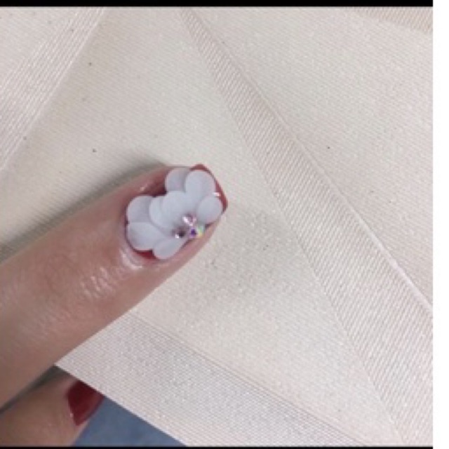 Hoa cúc tròn- hoa bột nail