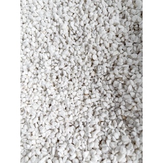 Đá Perlite (Đá trân châu) trang trí trồng cây 100gr