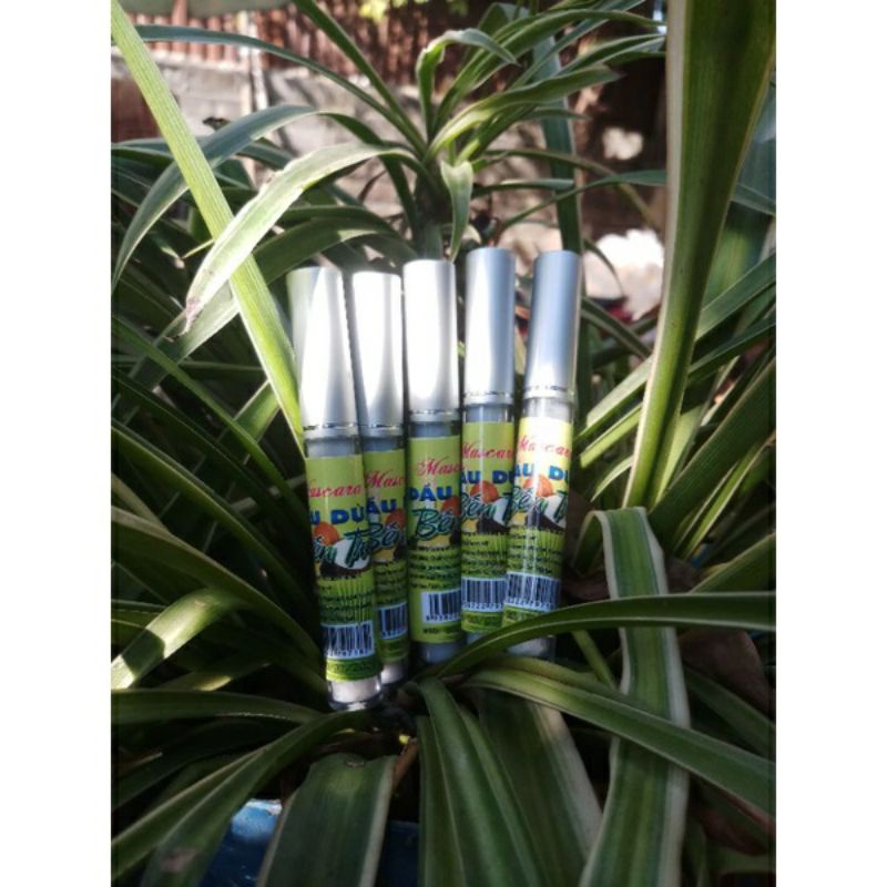 Dầu dừa chuốt mi nhà nấu cực thơm đảm bảo an toàn bôi dưỡng kích  mi dày và dài