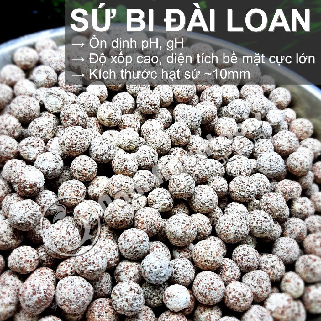 Vật liệu lọc nước sứ bi cho bể cá cảnh, thủy sinh - Sứ vi sinh lọc nước