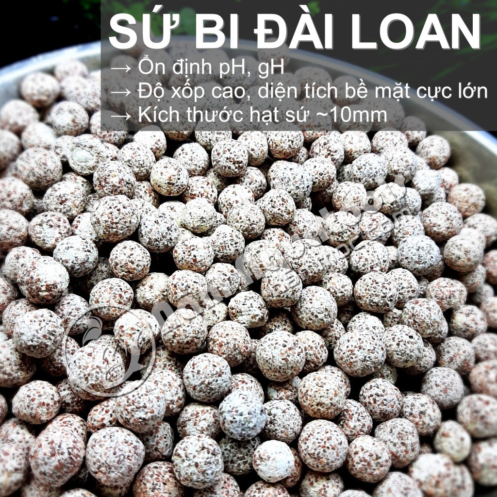 Vật liệu lọc nước cho bể cá cảnh, thủy sinh - Sứ bi đài loan (100g 200g 500g)