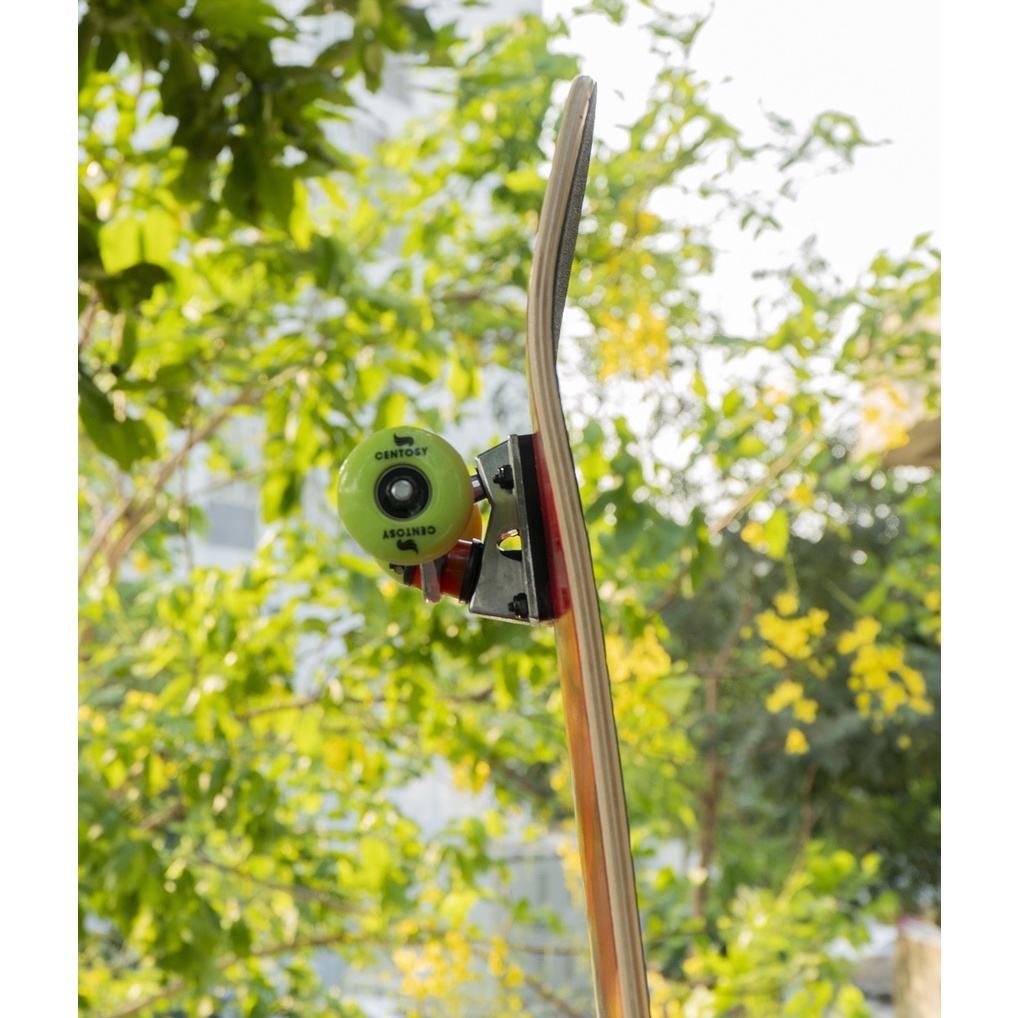 Ván Trượt Centosy B1 Spider, Ván Trượt Thể Thao Họa Tiết Spiderman, Ván Trượt Người Lớn Chính Hãng