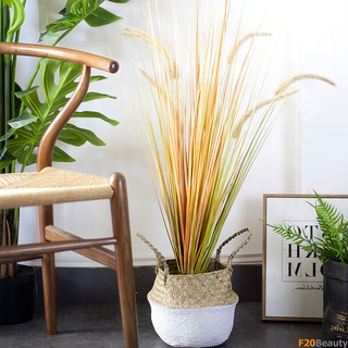 Cây hoa cỏ lau giả cao 90cm - F20Beauty - Phong cách hiện đại