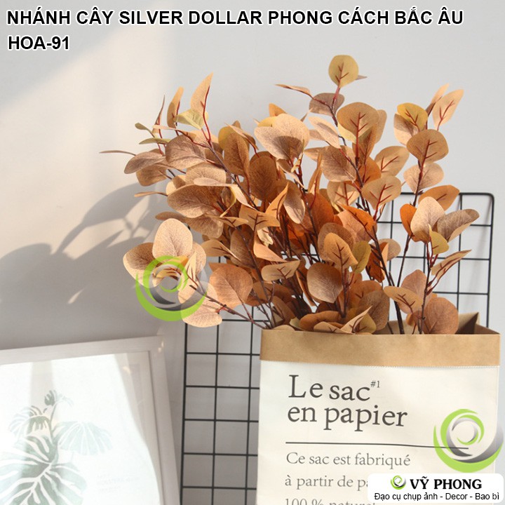 CÀNH LÁ CÂY SILVER DOLLAR PHONG CÁCH BẮC ÂU TRANG TRÍ ĐẠO CỤ CHỤP ẢNH SẢN PHẨM INS HOA-91