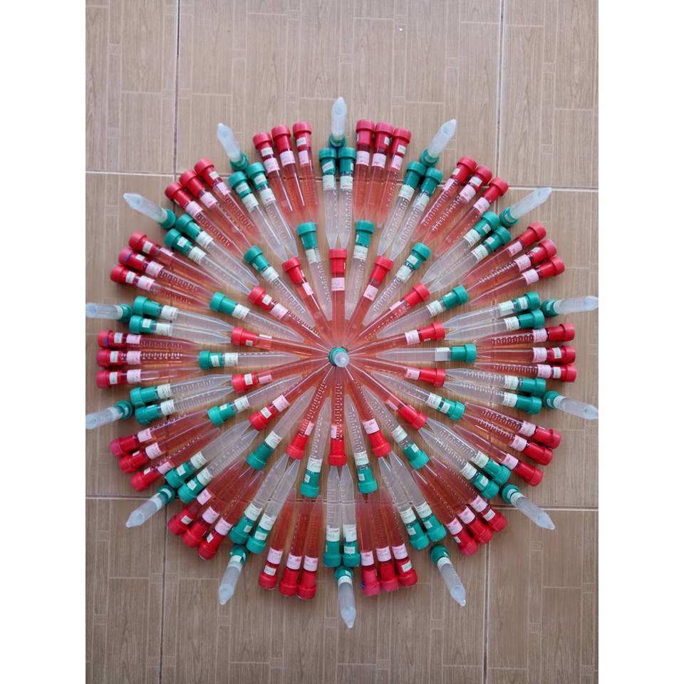 Keiki Duy Pro - Keiki Duy Spray Thuốc Kích Mầm, Kích Chồi