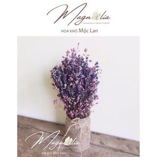 Set Hoa Khô trang trí nhà cửa phong cách Bắc Âu ❤️FREESHIP❤️ Hoa khô Decor phòng ngủ True Lavender mix Oregano Santa Cru