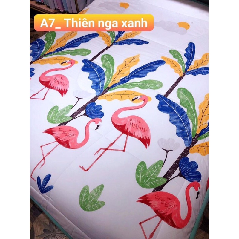 Chăn hè đũi zaza home hàng loại 1