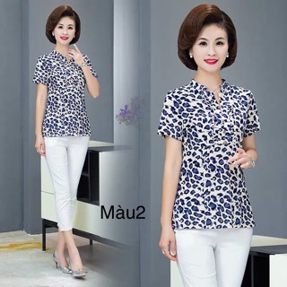 Áo thun nữ cổ tàu trung niên sẵn màu 2 sezi xl