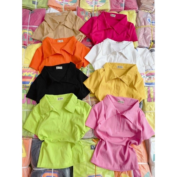 Áo thun croptop cổ bẻ