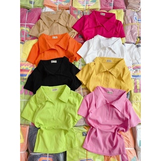 Áo thun croptop cổ bẻ