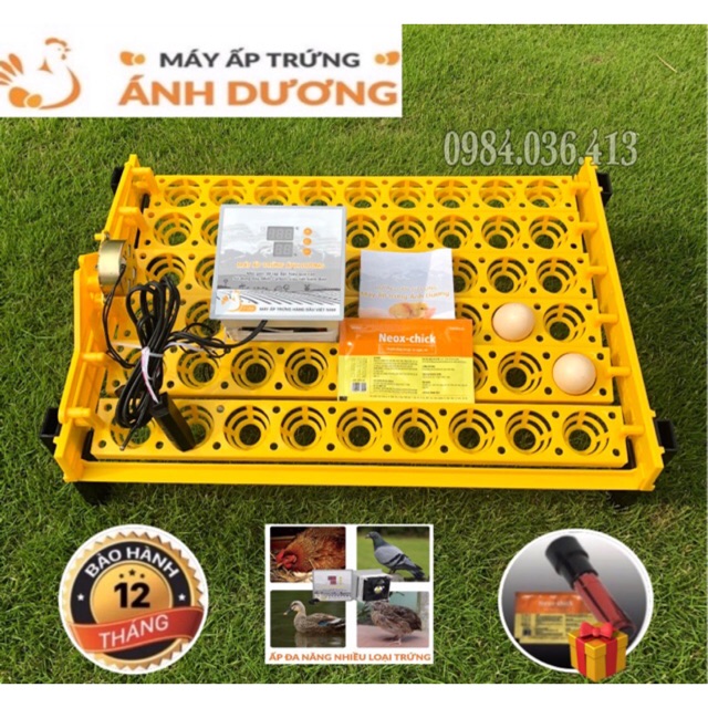 Máy ấp trứng mini Ánh Dương TẶNG ĐÈN SOI TRỨNG - tự động đảo 54 quả