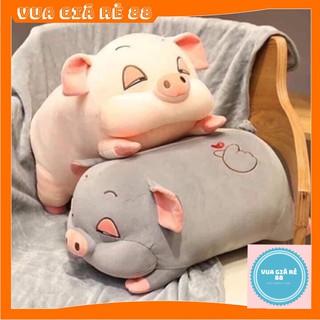GỐI LỢN KÈM CHĂN ❤️FREE SHIP❤️BÉ MỠ MỀM MỊN SIÊU DỄ THƯƠNG