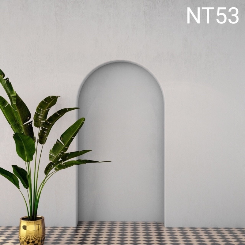 Phông nền chụp ảnh mã NT53