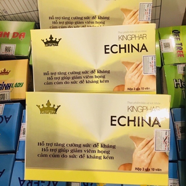 ECHINA KINGPHAR - TẠM BIỆT CẢM CÚM, VIÊM HỌNG KÉO DÀI