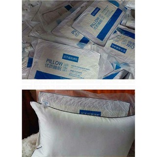 Cặp 2 ruột gối Hilton cao cấp