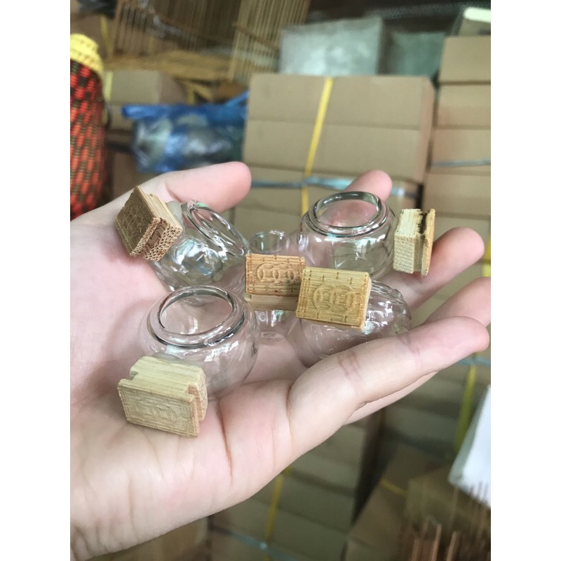CÓNG THUỶ TINH TAI TRIỆN KHUYÊN BỘ 5 món Ricky bird shop