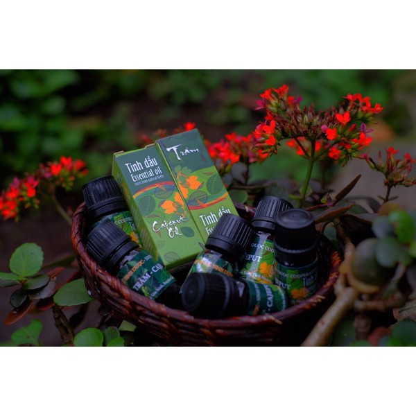 Tinh Dầu Tràm Nguyên Chất 100% 5ml Hợp Tác Xã Sinh Dược Ninh Bình